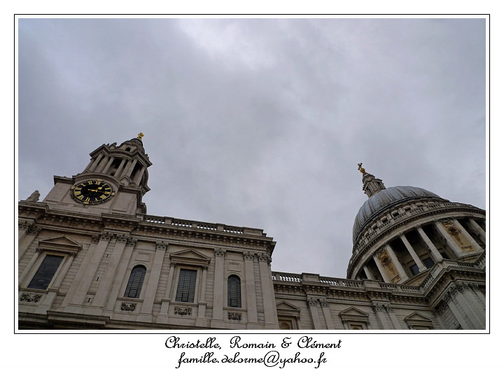 P1020270_RD.jpg