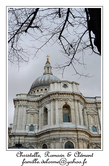 P1020274_RD.jpg