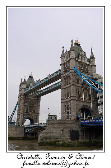 P1010573_RD.jpg