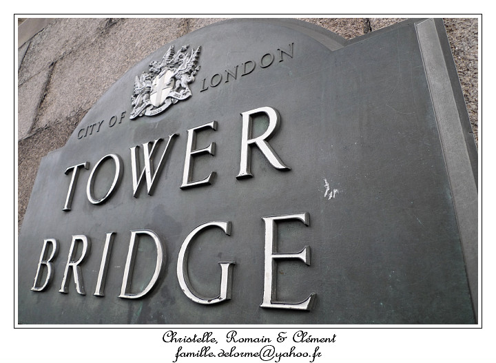 P1010582_RD.jpg