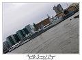 P1010559_RD