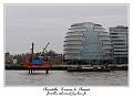 P1010564_RD