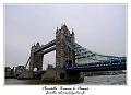 P1010572_RD