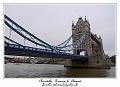 P1010577_RD