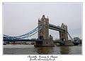 P1010578_RD