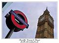 P1010551_RD