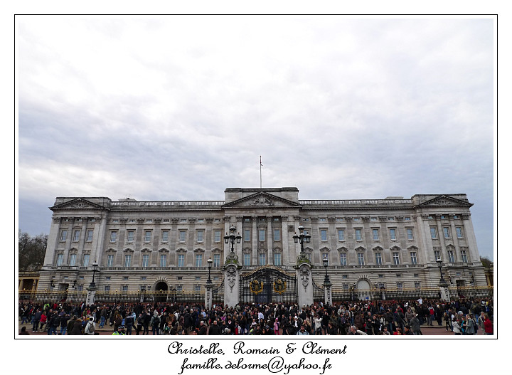 P1010531_RD.jpg