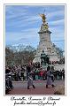 P1010522_RD