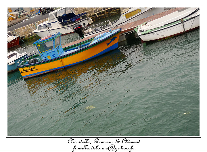 P1000195_RD.jpg