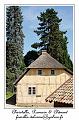 IMG_3717_RD