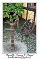 IMG_3721_RD