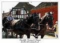 IMG_3742_RD