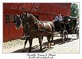 IMG_3744_RD