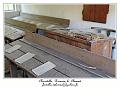 IMG_3750_RD