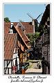 IMG_3751_RD
