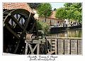 IMG_3760_RD