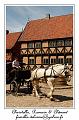 IMG_3775_RD