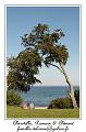 IMG_3785_RD