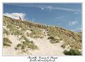IMG_3817_RD