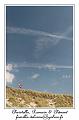 IMG_3825_RD