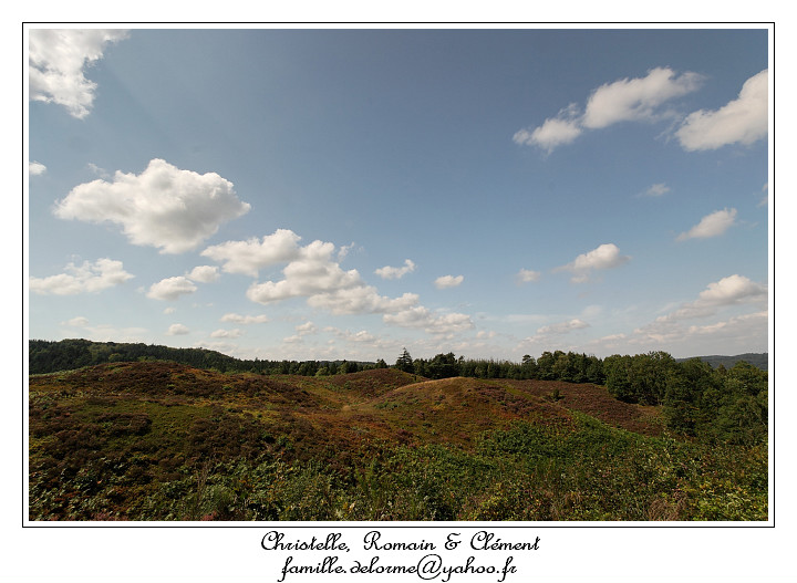 IMG_3896_RD.jpg