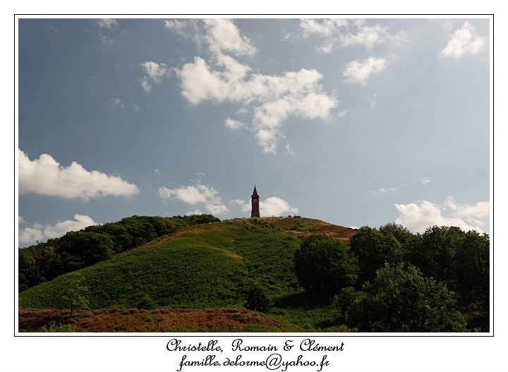 IMG_3920_RD.jpg