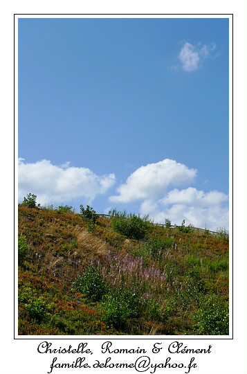 P1000589_RD.jpg