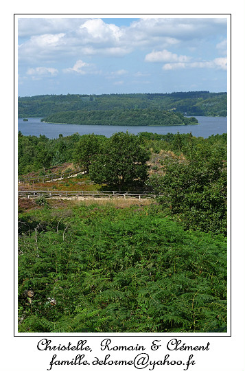 P1000593_RD.jpg