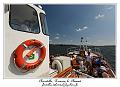 IMG_3882_RD