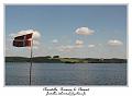 IMG_3890_RD