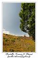 IMG_3891_RD