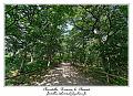 IMG_3892_RD