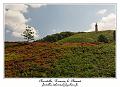 IMG_3893_RD