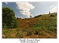 IMG_3894_RD