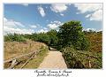 IMG_3895_RD