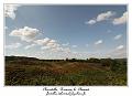 IMG_3896_RD