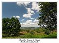 IMG_3897_RD