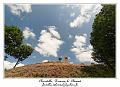 IMG_3900_RD