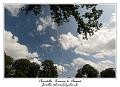 IMG_3910_RD