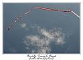 IMG_3915_RD