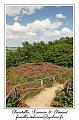 IMG_3919_RD