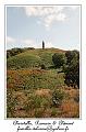 IMG_3921_RD