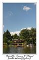 IMG_3941_RD