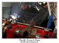 IMG_3950_RD