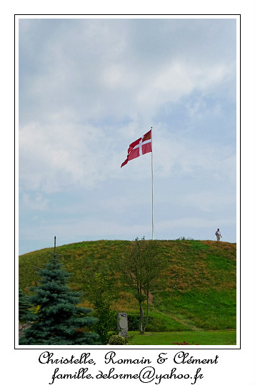 P1000612_RD.jpg