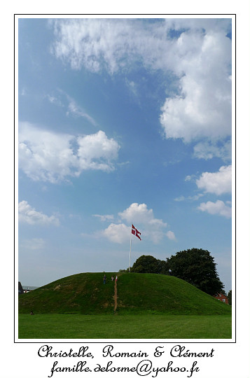 P1000621_RD.jpg