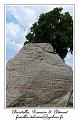 P1000614_RD