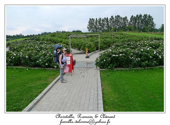 P1000627_RD.jpg