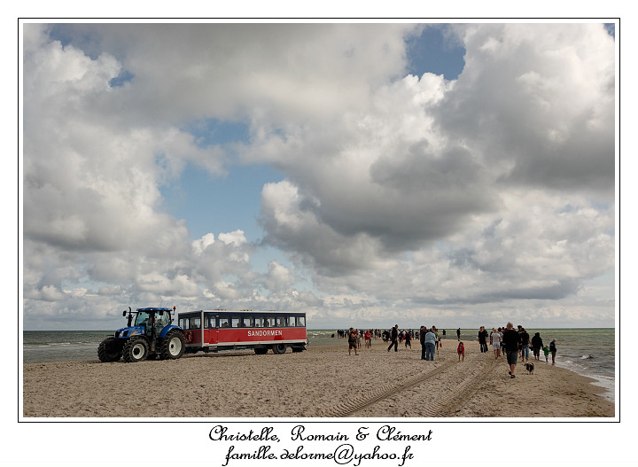 IMG_3973_RD.jpg
