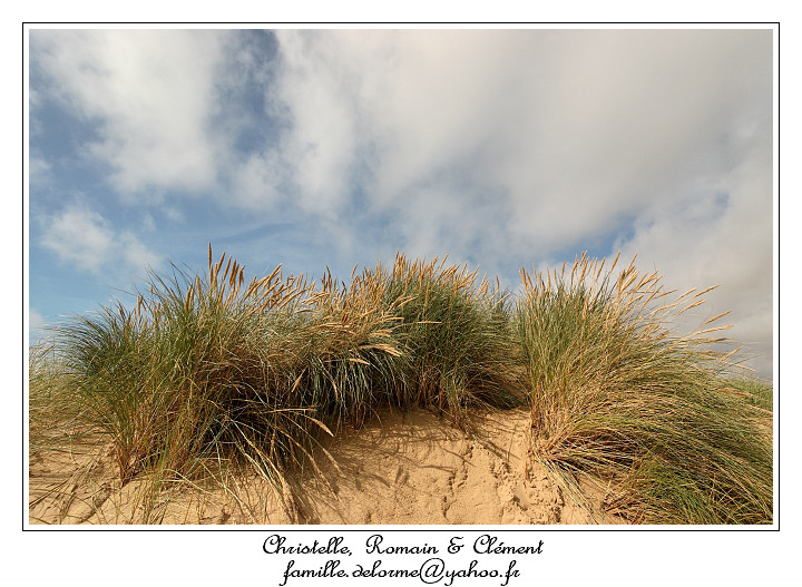 IMG_4018_RD.jpg